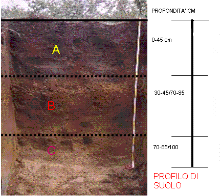 Esempio di profilo di suolo